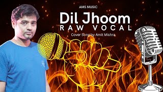 Dil Jhoom | Hindi Song | Gadar 2 | Arijit Singh | AMS MUSIC