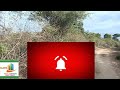 3 acres farm land for sale natham near gopalpatti big offer landsales madurai natham dindugal