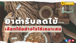 [Podcast] ตำรับยาลดไข้ เลือกใช้อย่างไร l ซีรีย์ยาไทย