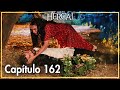 Hercai - Capítulo 162