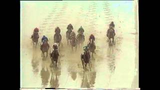 Danzig Connection - Belmont Stakes 1986