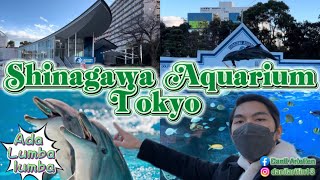 LUCUNYA ATRAKSI LUMBA LUMBA MENARI DI JEPANG | SHINAGAWA AQUARIUM TOKYO