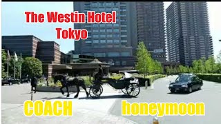 【🐴ｶﾛｯﾂｪﾘｱ(carrozzeria)💒Westin Wedding】令和の時代にも本物の馬車(COACH)が公道を走行します！