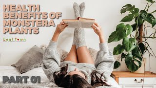 16 Amazing Uses and Health Benefits of a monstera Plants | Part 01 | Leaf Town