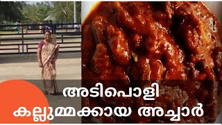 | കല്ലുമ്മക്കായ അച്ചാർ | Mussels Pickle|Kallummakaya Achar|My way of cooking|