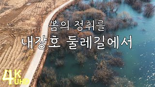 [4K 랜선여행] 내장호 둘레길, 가족들과 걸어보아요 | 내장산 | 봄 | 자연영상