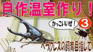 【昆虫採集★カブトムシ★クワガタムシ　自作温室制作３　ヘラクレスの飼育目指して】（くろねこチャンネル）