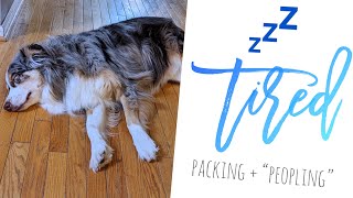 Vlog 1268 - Packing \u0026 Peopling 🧳😷