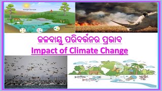 ଜଳବାୟୁ ପରିବର୍ତ୍ତନର ପ୍ରଭାବ || Impact of Climate Change