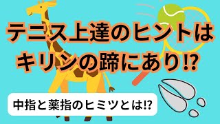 テニス 上達のヒントはキリンの蹄にあり⁉︎/中指と薬指のヒミツとは？