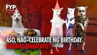 Aso, nag-celebrate ng birthday habang nakatayo?! | FYP