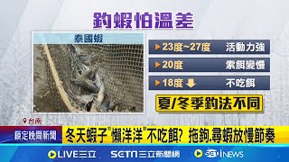 釣蝦場也怕寒流來! 水溫低於18度 蝦冬眠不吃餌｜三立新聞網 SETN.com