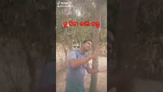 ତୁ ସିନା ଚାଲି ଗଲୁ