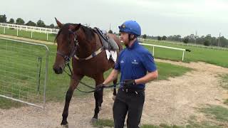 Ex racehorses join Academy