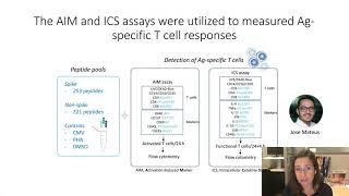 Low-Dose mRNA-1273 COVID-19 Vaccine Generates Durable Memory Enhanced by Cross-reactive T Cells