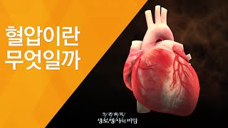 혈압이란 무엇일까 - (2012.1.28_399회 방송)_아는 만큼 건강해진다, 종합건강검진