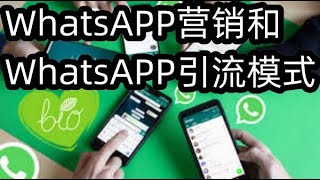 WhatsApp营销和WhatsAPP引流模式#whatsapp  #WS广告推广#WS怎么做推广#WS如何营销 #WS营销效果怎么样