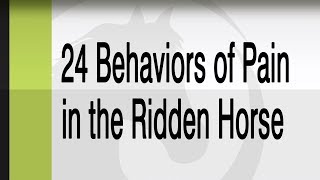 How to Recognize the 24 Behaviors Indicating Pain in the Ridden Horse