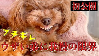 【ブチギレ】ウザい弟に我慢の限界！