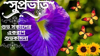 #banglay good morning video#goodmorning#বাংলা গুড মর্নিং #সকালের শুভেচ্ছা #whatsapp status video