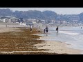 鎌倉由比ヶ浜 春の霞の中でも美しい青｜shonan kamakura yuigahama