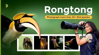 Birding in Rongtong You Need to Know | Tour Plan, Home Stay, Guide, Birds | Camera Settings