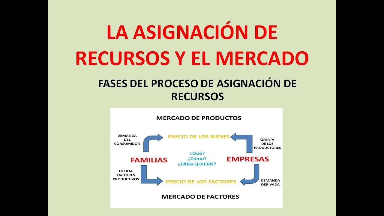 ASIGNACION DE LOS RECURSOS EN ECONOMIA Y EL MERCADO - YouTube