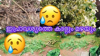 കാറ്റും മഴയും ഭാഗ്യത്തിന് ഒന്നും പറ്റിയില്ല