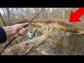 Winter Creek FISHING MADNESS!! (Big Fish)