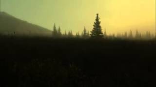 Wild Spaces WILD SPACES: DENALI NATIONAL PARK /  UNTAMED ALASKA