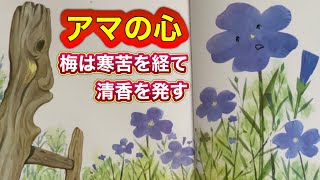 【辛抱に花開く❣️】『アマの心』辛いことがあるからこそ 報われる‼️夢は叶うんだ‼️