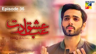 Ishq Ibadat - Episode 36 - [ Wahaj Ali - Anum Fayyaz ] Pakistani Dramas - HUM TV