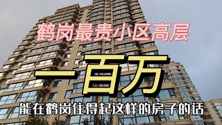 非富即贵，黑龙江鹤岗市最贵小区永丰国际城，要要要100万