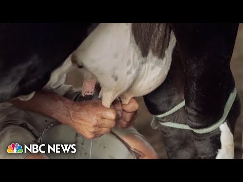 What does pasteurization kill?