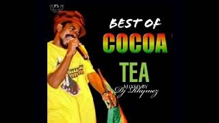 Dj Rhymez - Best Of Cocoa Tea Mix 2022