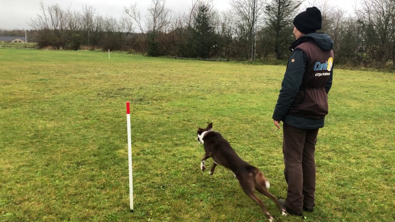 Tromplo Send Away Youtube