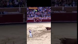 cogida en los toros de PICASSENt