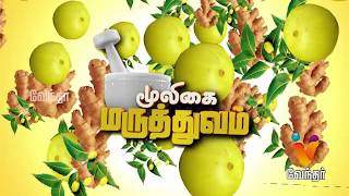 பெண்களுக்கு பெண் மற்றும் பொடுகுக்கான  காரணங்கள் ..!! Mooligai Maruthuvam[Epi -358] Part 1