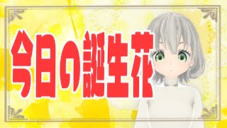 【花言葉】１０月２６日の誕生花は？／花白もか