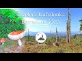 Kubalonka - Barania Góra, na szlaku