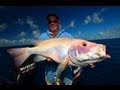 Awesome Big Fish Kaos!!  fishing Video!!  Great Barrier Reef!!