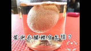 【艾蜜莉實驗室#1】蛋泡在醋裡面會怎樣?