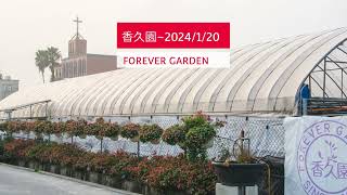 最具英式花園之美的香久園2024年的新作。