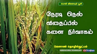 நேரடி நெல் விதைப்பில் களை நிர்வாகம்   | Agricultural Technology