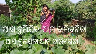 ଆସନ୍ତୁ ଦେଖିବେ ଆମ ବାରିରେ କୋଉ କୋଉ ଫସଲ ଲାଗିଛି