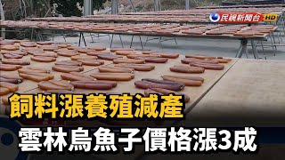 飼料漲養殖減產 雲林烏魚子價格漲3成－民視台語新聞