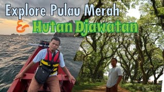 Menelusuri Pulau Merah \u0026 Hutan Djawatan Banyuwangi (hutan mirip di film Lord Of The Ring)