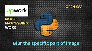 Blur the specific Part of Image | Upwork 50$ work | Open-cv | Python Tutorial