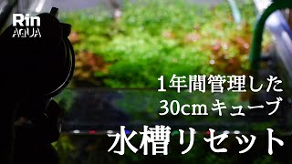 【アクアリウム】1年間管理した30cmキューブ水槽をリセット！