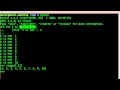 Python Basics - for loops